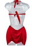RED AND SILVER SKIRT SET