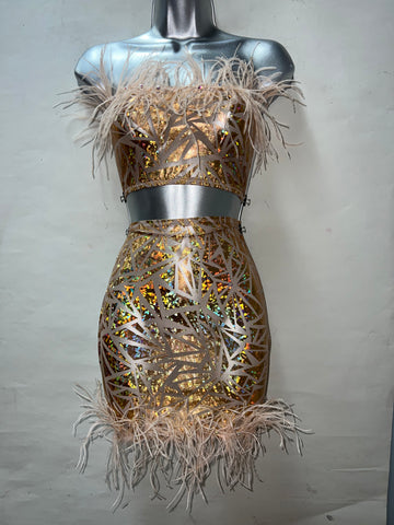 Two Piece Fur Dress Set
