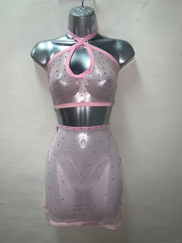 Two Piece Pink Mesh Skirt Set